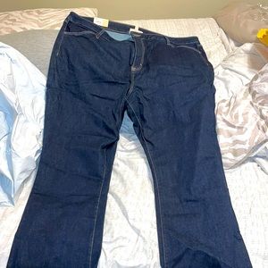 NWT Evri Bootcut Jeans